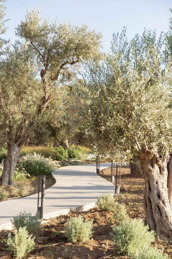 Elies Residences Luxury Apartments Mytilíni エクステリア 写真